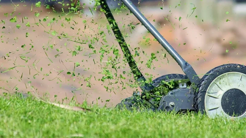 Jak wybrać najlepszą kosiarkę bijakową: Praktyczny przewodnik