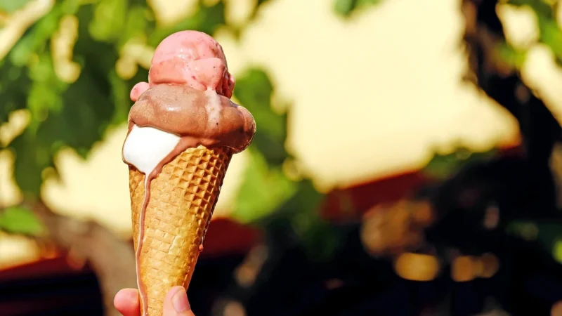 Przyczepa gastronomiczna na lody – kompletne rozwiązanie dla mobilnego biznesu lodowego
